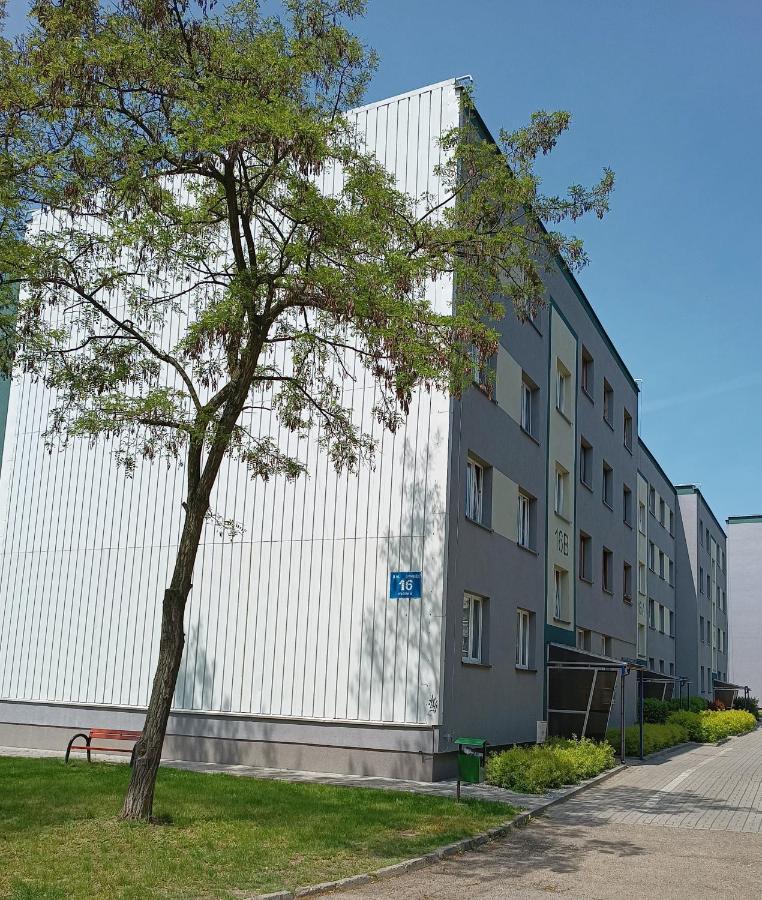 Bursztynowy Apartament Tarnowskie Góry Dış mekan fotoğraf