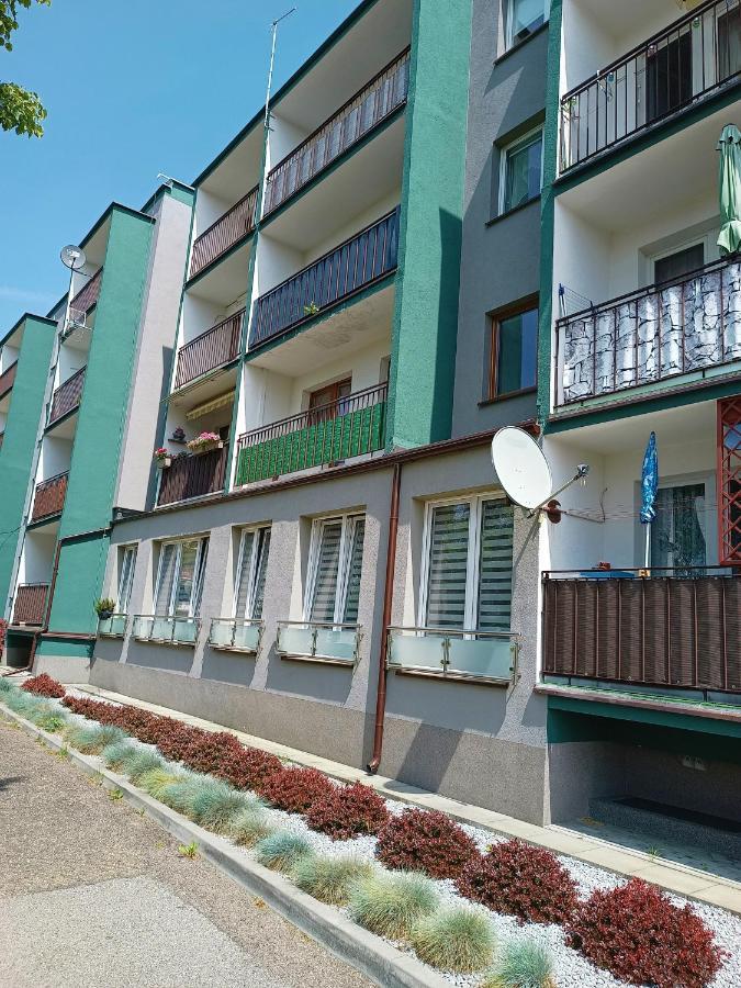 Bursztynowy Apartament Tarnowskie Góry Dış mekan fotoğraf